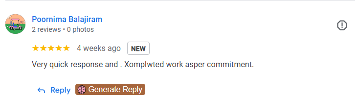 Customer Review 12